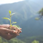 Descubre cómo el corte Waterjet revoluciona la producción de piezas a medida, combinando precisión, eficiencia y sostenibilidad. Ideal para industrias eco-conscientes
